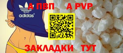 гашик Кингисепп