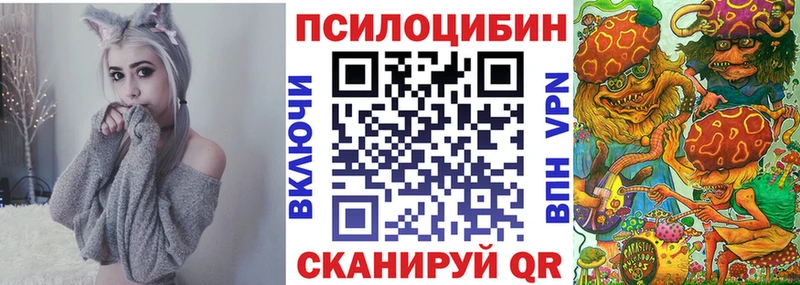 магазин    Ленинск-Кузнецкий  Псилоцибиновые грибы Magic Shrooms 