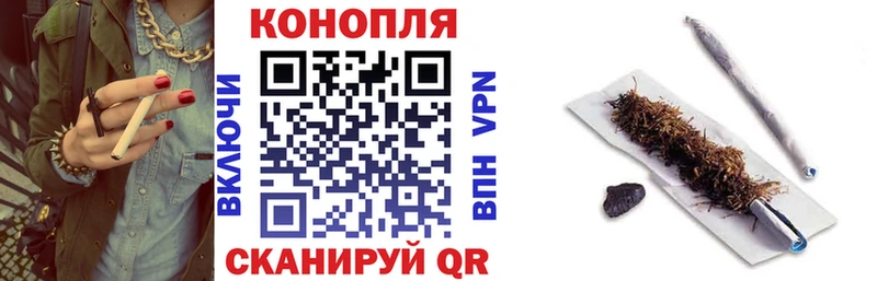 Конопля сатива Ленинск-Кузнецкий